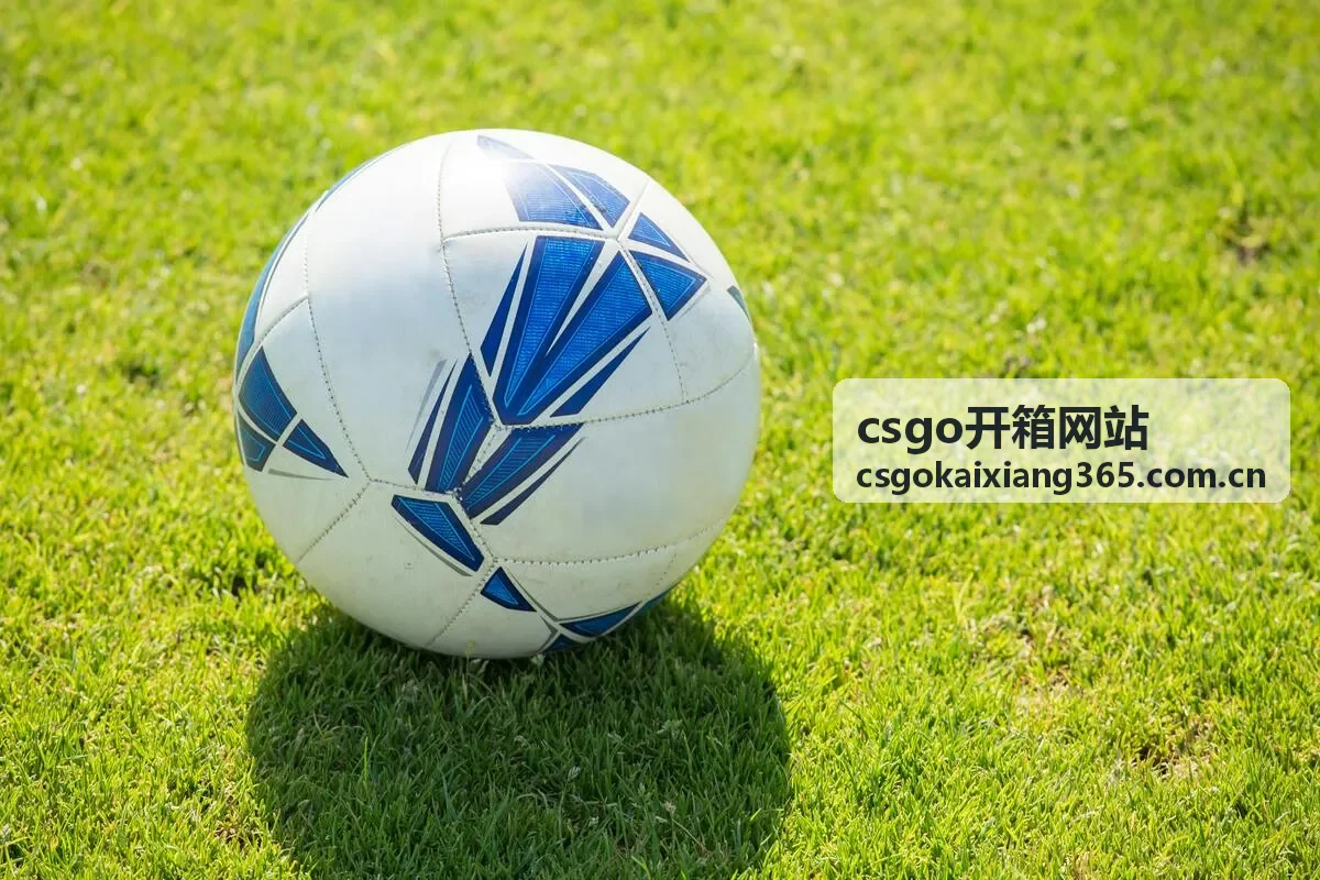 csgo开箱网站稀有收藏品M9刺刀深红之网