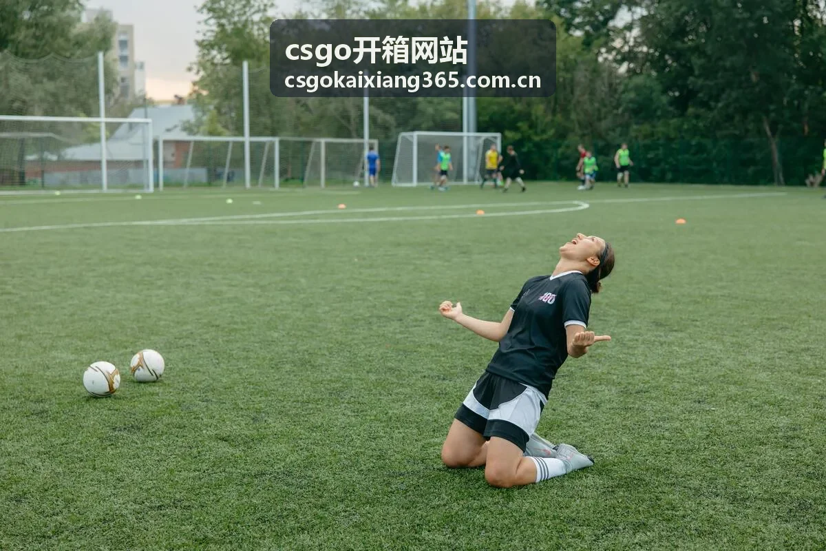 csgo开箱网站稀有收藏品沙漠之鹰印花集