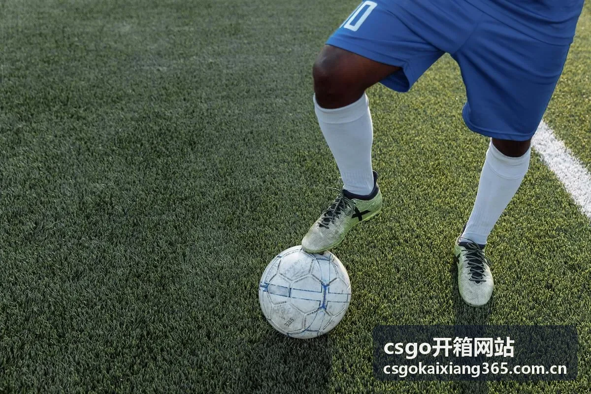 csgo开箱网站稀有收藏品爪子刀多普勒蓝宝石